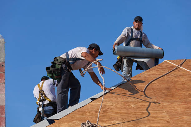 Best Commercial Roofing Services  in Raintree Plantation, MO